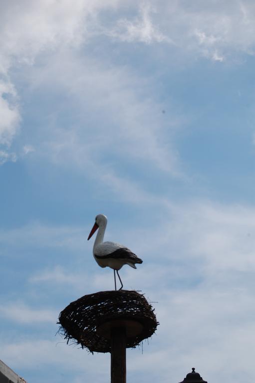 拉西科纳住宿加早餐旅馆 阿杰罗拉 外观 照片